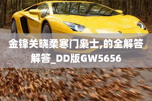 金锋关晓柔寒门枭士,的全解答解答_DD版GW5656