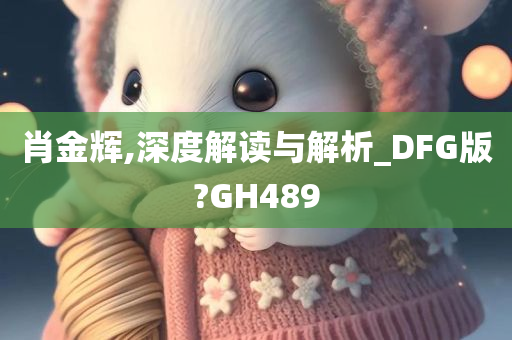 肖金辉,深度解读与解析_DFG版?GH489