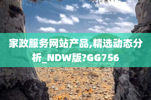 家政服务网站产品,精选动态分析_NDW版?GG756