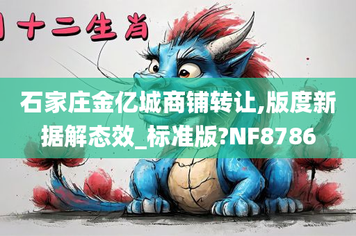 石家庄金亿城商铺转让,版度新据解态效_标准版?NF8786