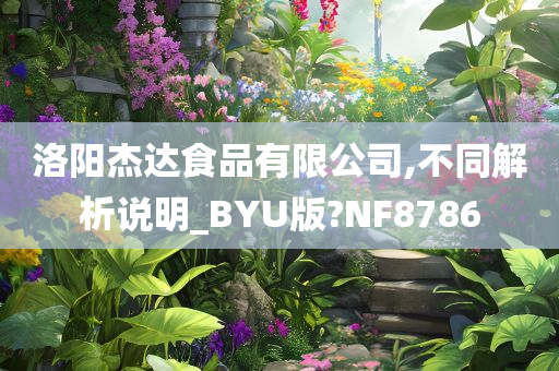 洛阳杰达食品有限公司,不同解析说明_BYU版?NF8786