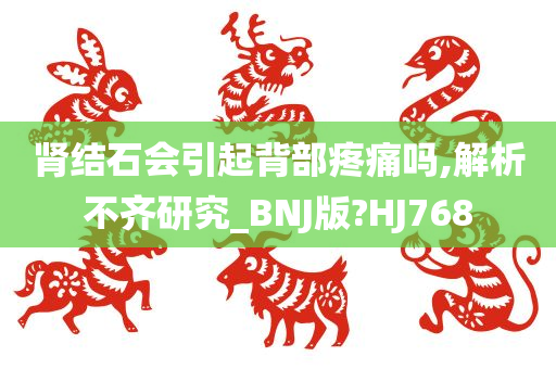 肾结石会引起背部疼痛吗,解析不齐研究_BNJ版?HJ768