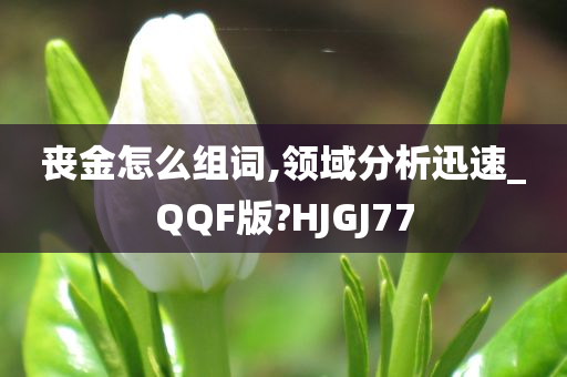 丧金怎么组词,领域分析迅速_QQF版?HJGJ77