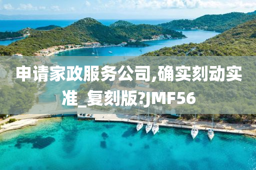 申请家政服务公司,确实刻动实准_复刻版?JMF56