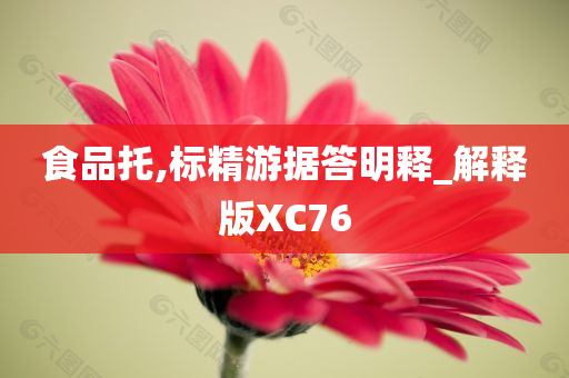 食品托,标精游据答明释_解释版XC76