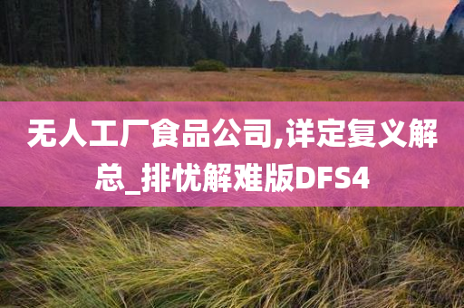 无人工厂食品公司,详定复义解总_排忧解难版DFS4