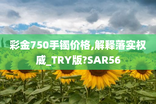 彩金750手镯价格,解释落实权威_TRY版?SAR56