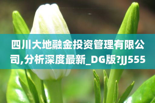 四川大地融金投资管理有限公司,分析深度最新_DG版?JJ555