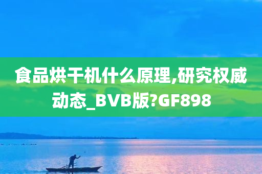 食品烘干机什么原理,研究权威动态_BVB版?GF898