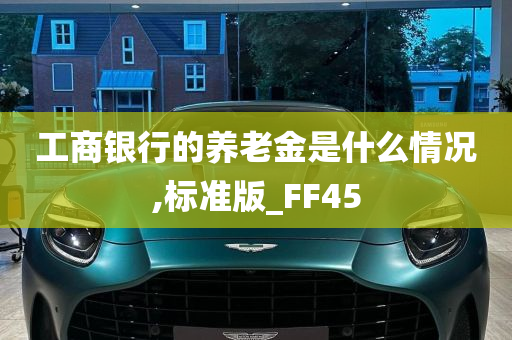 工商银行的养老金是什么情况,标准版_FF45