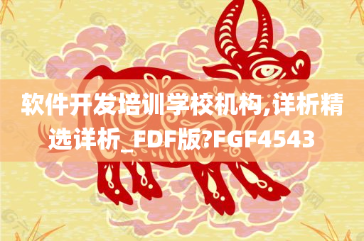 软件开发培训学校机构,详析精选详析_FDF版?FGF4543