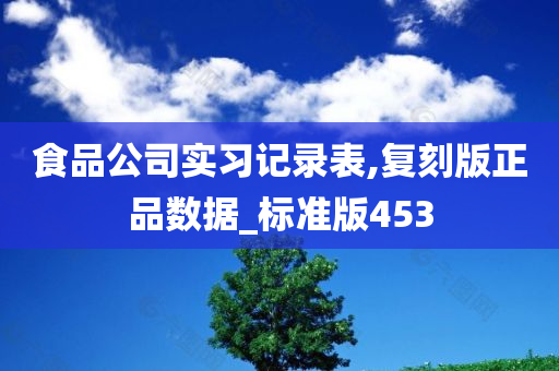 食品公司实习记录表,复刻版正品数据_标准版453