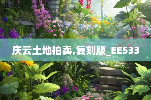 庆云土地拍卖,复刻版_EE533