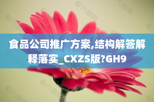 食品公司推广方案,结构解答解释落实_CXZS版?GH9