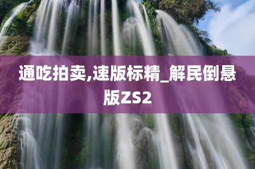 通吃拍卖,速版标精_解民倒悬版ZS2