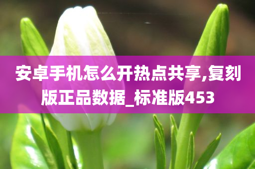 安卓手机怎么开热点共享,复刻版正品数据_标准版453