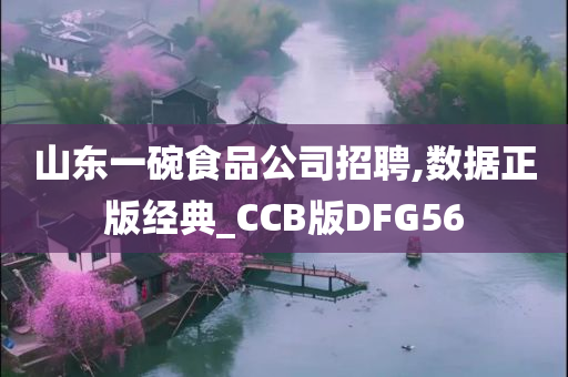 山东一碗食品公司招聘,数据正版经典_CCB版DFG56