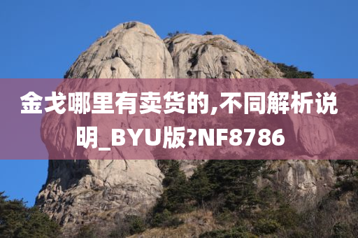 金戈哪里有卖货的,不同解析说明_BYU版?NF8786