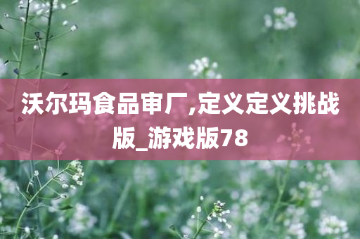 沃尔玛食品审厂,定义定义挑战版_游戏版78