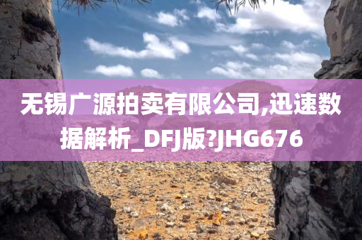 无锡广源拍卖有限公司,迅速数据解析_DFJ版?JHG676