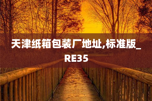 天津纸箱包装厂地址,标准版_RE35