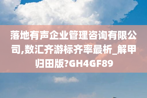 落地有声企业管理咨询有限公司,数汇齐游标齐率最析_解甲归田版?GH4GF89