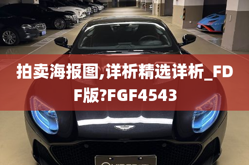 拍卖海报图,详析精选详析_FDF版?FGF4543