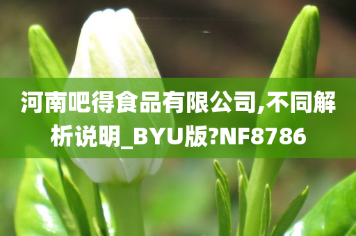 河南吧得食品有限公司,不同解析说明_BYU版?NF8786