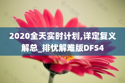 2020全天实时计划,详定复义解总_排忧解难版DFS4