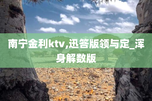 南宁金利ktv,迅答版领与定_浑身解数版