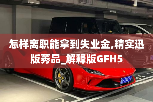 怎样离职能拿到失业金,精实迅版莠品_解释版GFH5