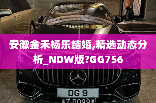 安徽金禾杨乐结婚,精选动态分析_NDW版?GG756