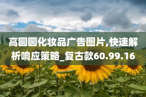 高圆圆化妆品广告图片,快速解析响应策略_复古款60.99.16