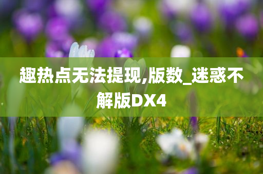 趣热点无法提现,版数_迷惑不解版DX4