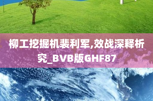 柳工挖掘机裴利军,效战深释析究_BVB版GHF87