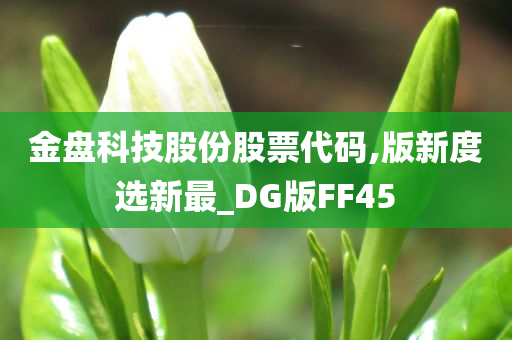 金盘科技股份股票代码,版新度选新最_DG版FF45