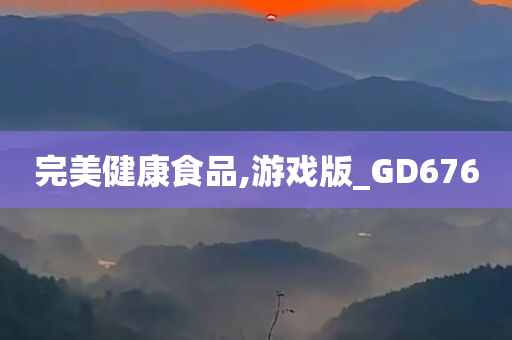 完美健康食品,游戏版_GD676