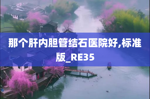 那个肝内胆管结石医院好,标准版_RE35