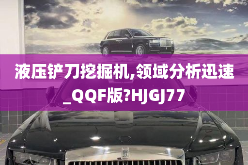 液压铲刀挖掘机,领域分析迅速_QQF版?HJGJ77