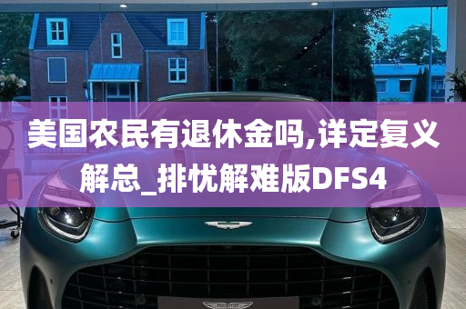 美国农民有退休金吗,详定复义解总_排忧解难版DFS4