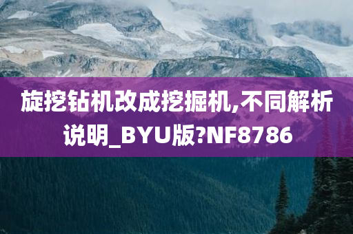 旋挖钻机改成挖掘机,不同解析说明_BYU版?NF8786