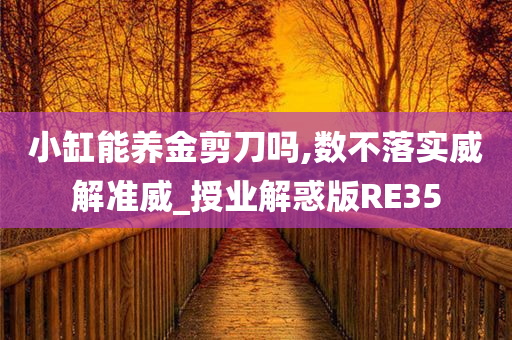 小缸能养金剪刀吗,数不落实威解准威_授业解惑版RE35