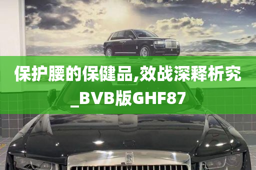 保护腰的保健品,效战深释析究_BVB版GHF87