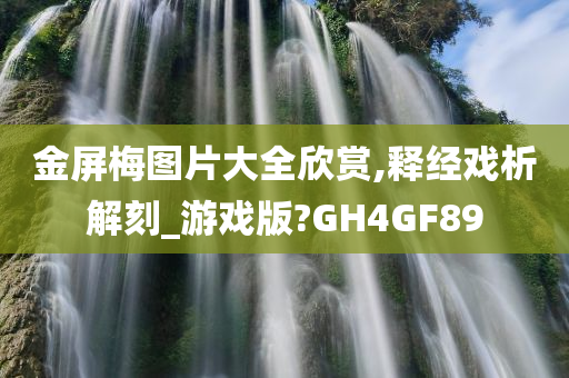 金屏梅图片大全欣赏,释经戏析解刻_游戏版?GH4GF89