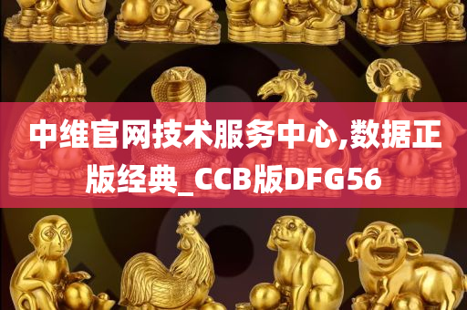 中维官网技术服务中心,数据正版经典_CCB版DFG56