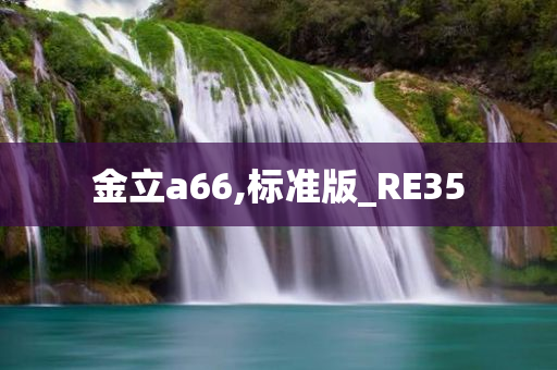 金立a66,标准版_RE35