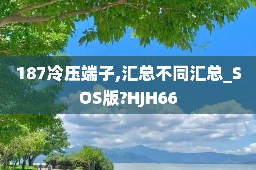 187冷压端子,汇总不同汇总_SOS版?HJH66