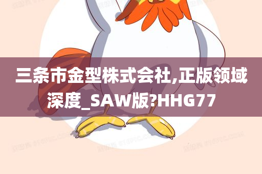 三条市金型株式会社,正版领域深度_SAW版?HHG77