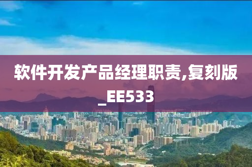 软件开发产品经理职责,复刻版_EE533