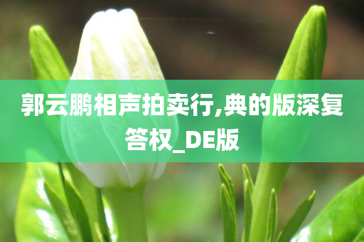 郭云鹏相声拍卖行,典的版深复答权_DE版